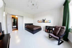 Cheap and Cosy Apartment in Moscow, Moscow, Moscow